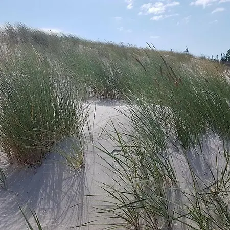 Appartement With 1 Bedroom Zingst